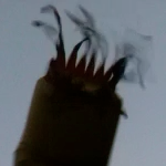 Screen shot 2012-11-06 at 8.30.40 PM